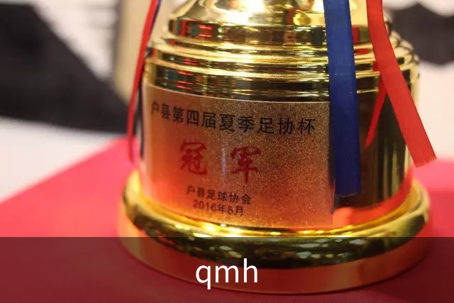 qmh公司简介